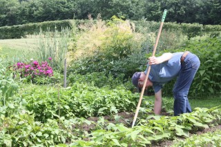 Jan Vrielink in de bonen