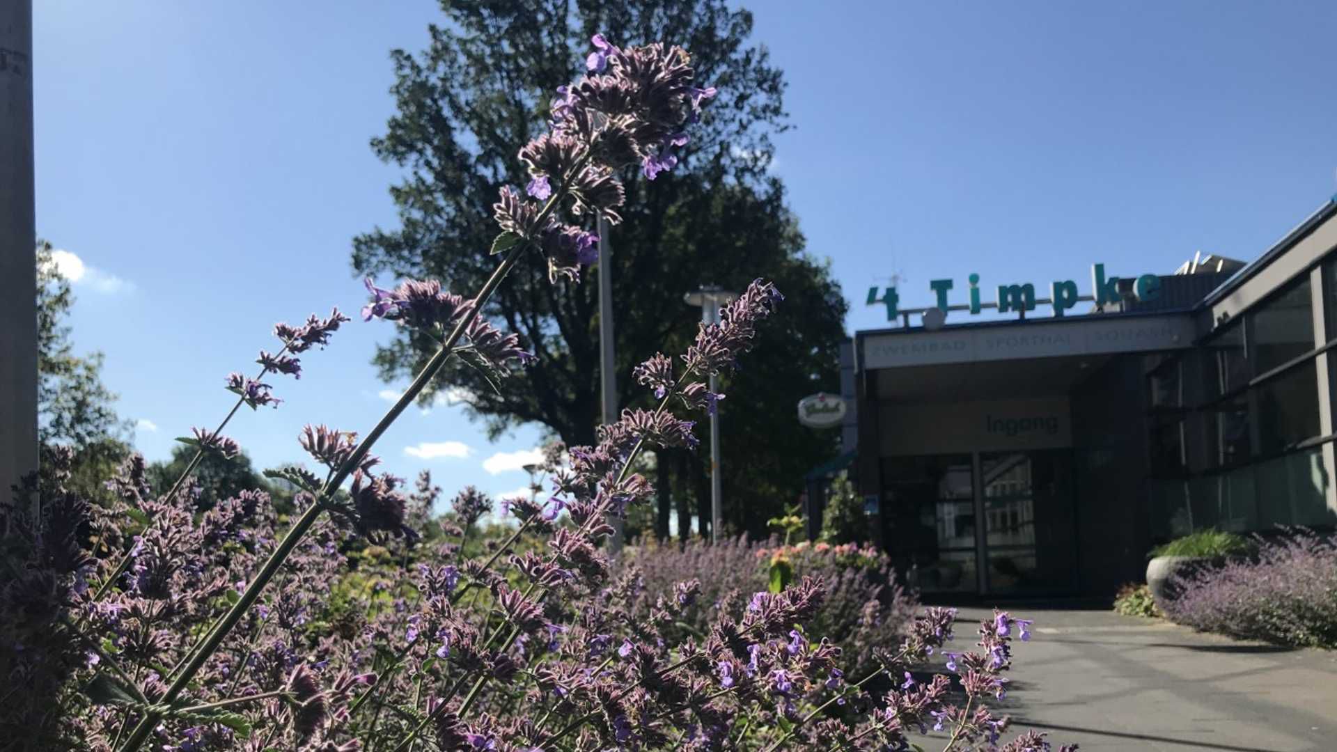 DEO jeugd voetbaldag bij ’t Timpke