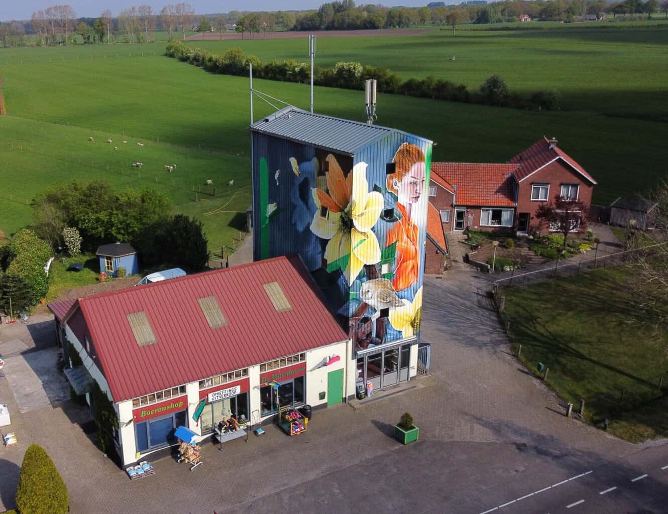 Siloart en Verbouwing van Halfweg naar ‘Anderhalfweg’ maken kans op Gelderse prijs