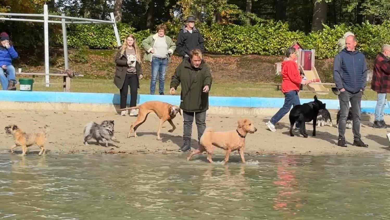 film: Hondenplons in Rekken