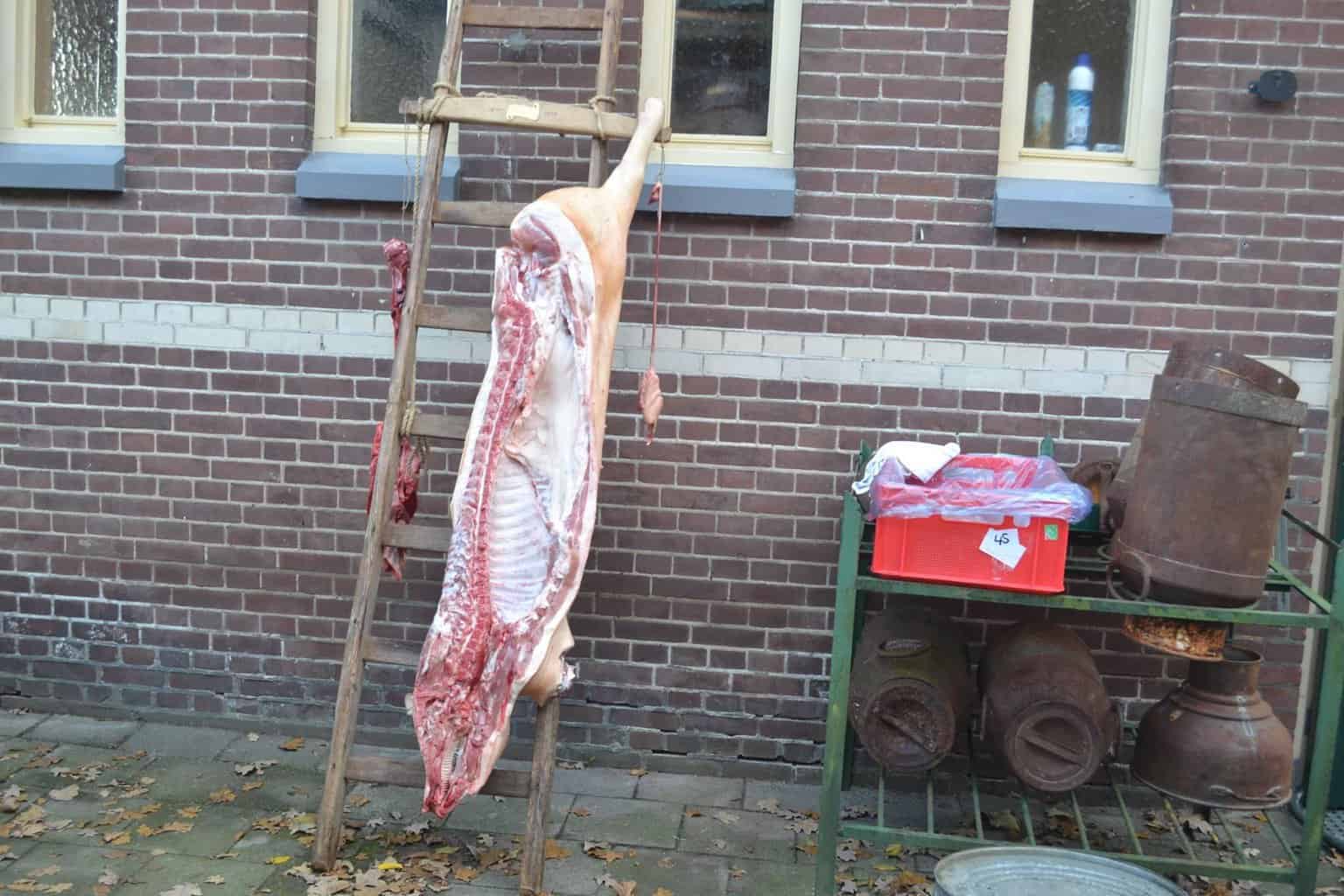 Traditionele slachtvisite in Noordijk: ‘reuring rond vetpriezen’