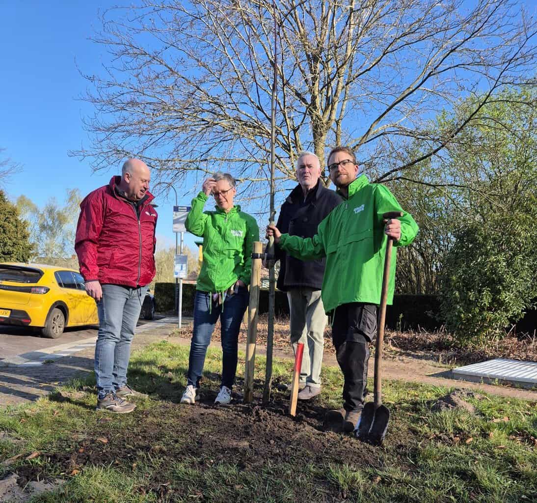 GroenLinks Berkelland plant samen met PvdA boom in Gelselaar -