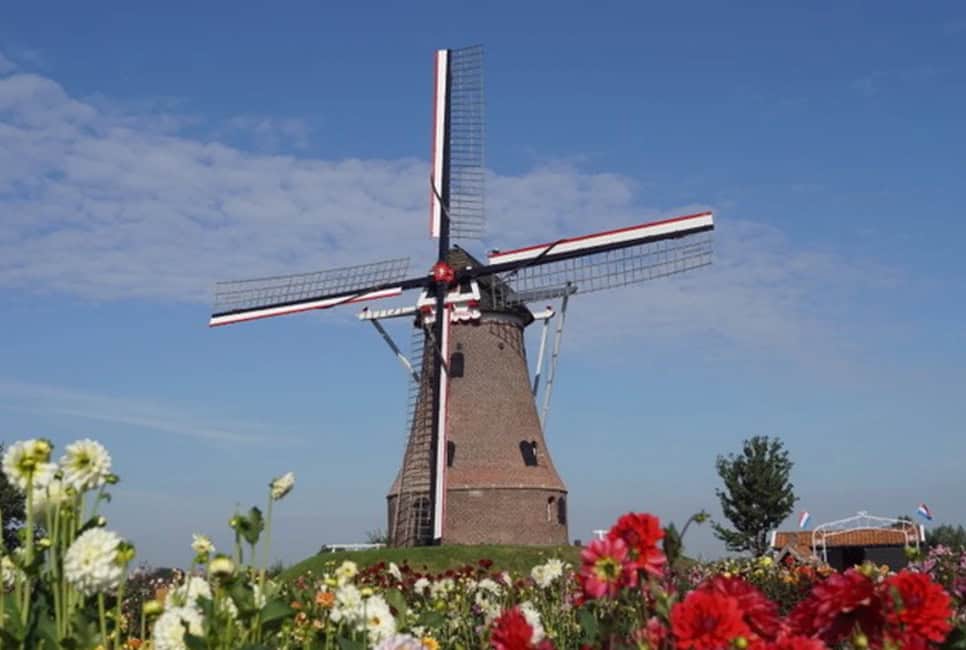 Nationale molendag bij de Piepermolen in Rekken