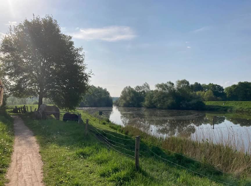 Vroege Vogelexcursie langs de Berkel bij Rekken zaterdag 17 mei