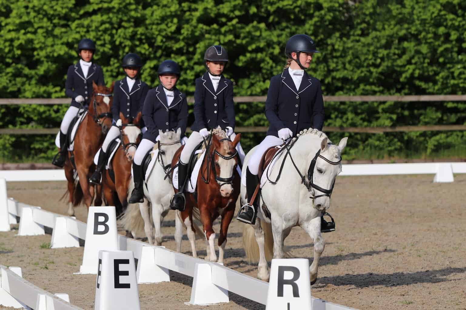 Dressuurweekend bij de Hamelandse Ruiters