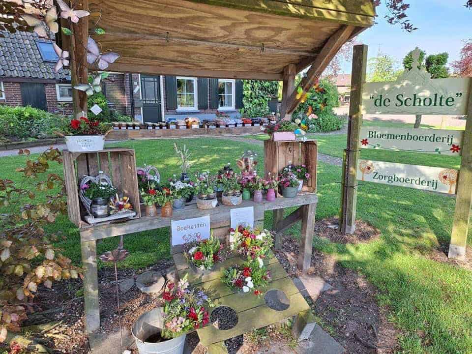 Bloei en Beleef Festival vol bloemen, ambacht en verbinding op Bloemen- en Zorgboerderij De Scholte 