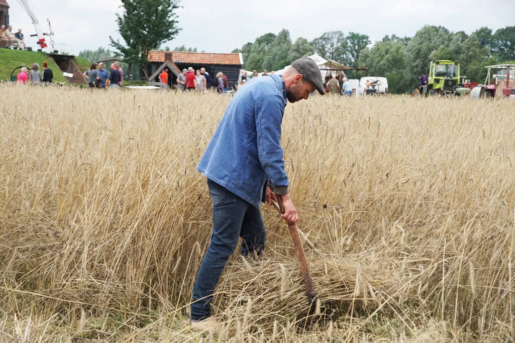 Ouderwets oogstfeest bij de Piepermolen in Rekken op 26 juli