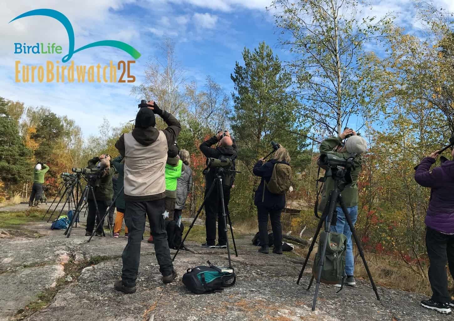 Vogelwerkgroep Berkelland doet mee met EuroBirdWatch -