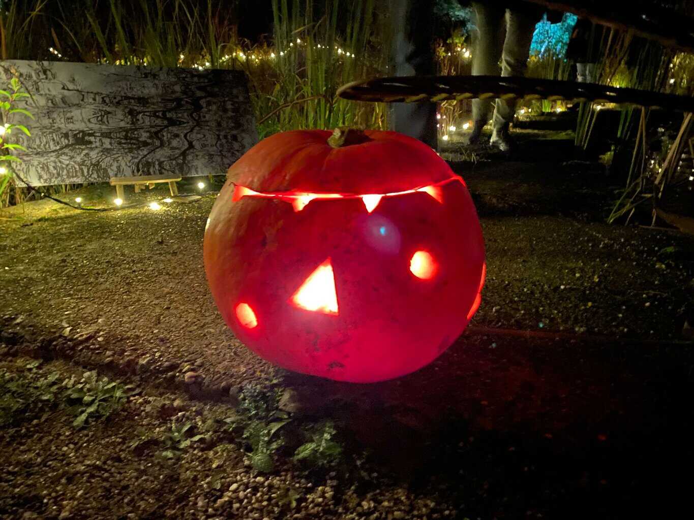 Lichtjesavond bij de Kruidenhof in Eibergen