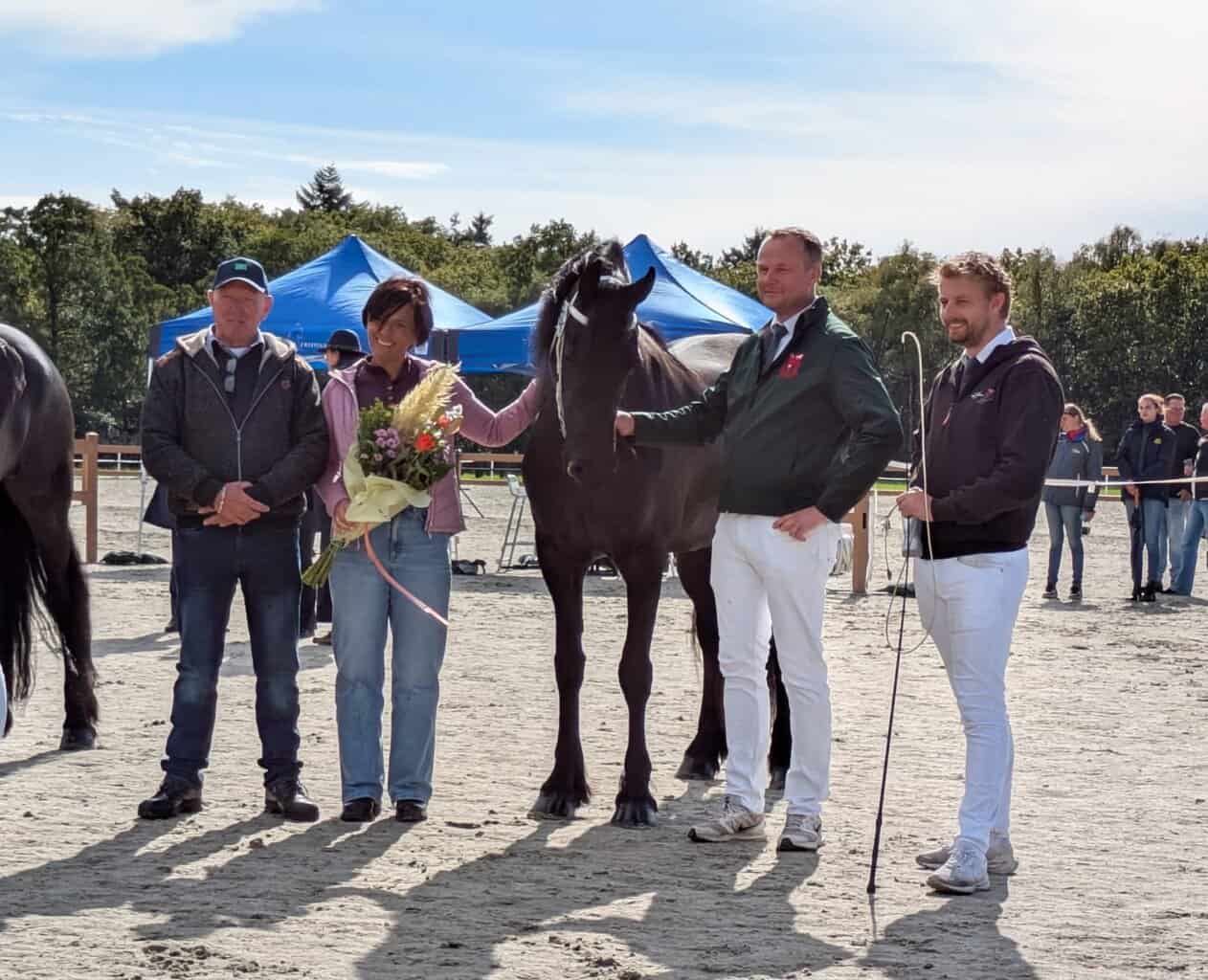 Zwarte parels in Noordijk: Friese foksuccessen bij Stal ’t Kempke