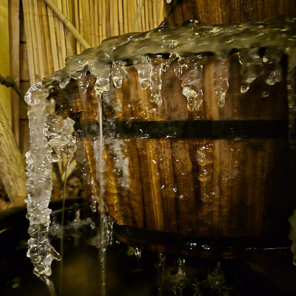 Winterpret in Berkelland -