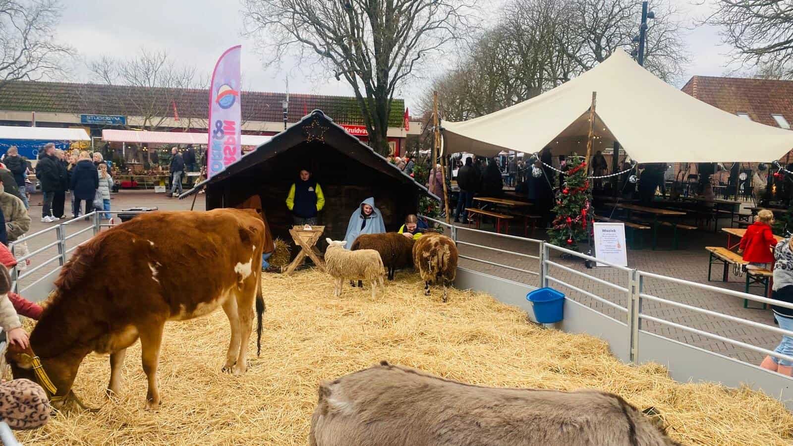 fotoreportage: Kerstmarkt Eibergen 2025