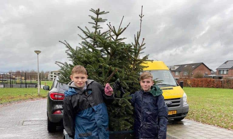 Gemeente roept kinderen op om kerstbomen in te zamelen