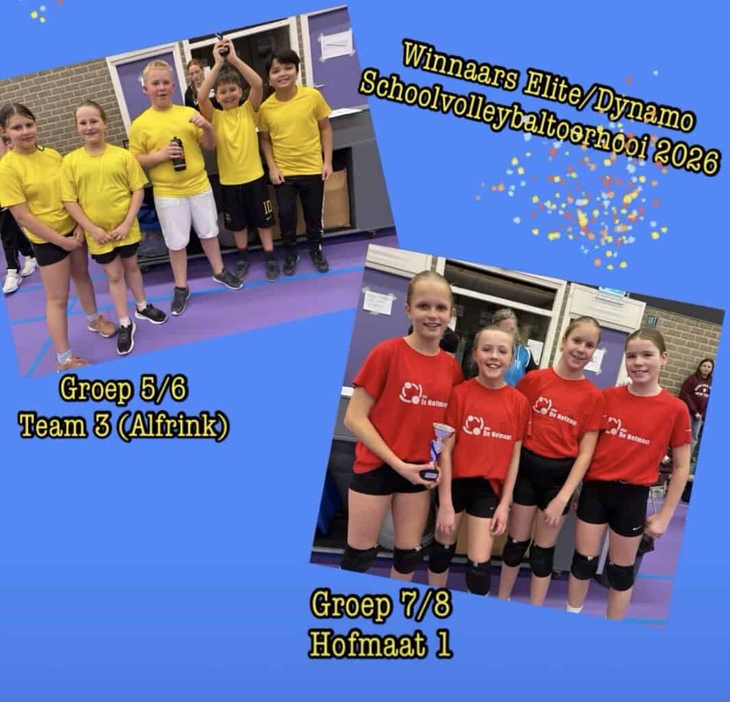 Schoolvolleybaltoernooi Elite/Dynamo Neede groot succes