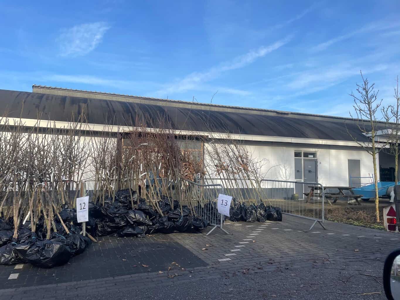 In de file voor een gratis boom in Eibergen -