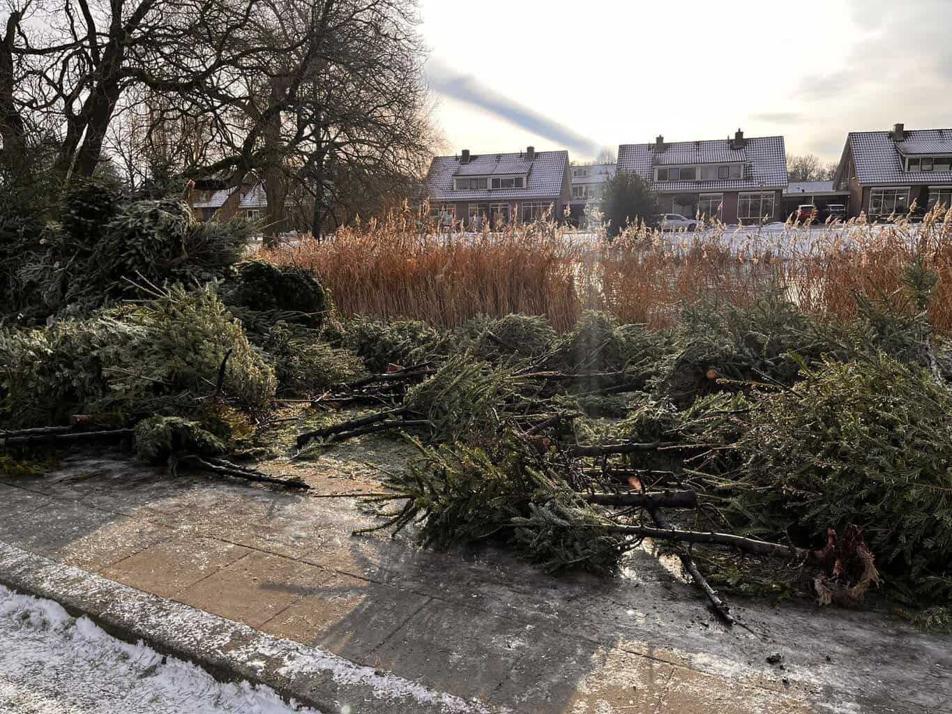 Kerstbomen in brand gestoken bij Hofmaat vijver in Neede