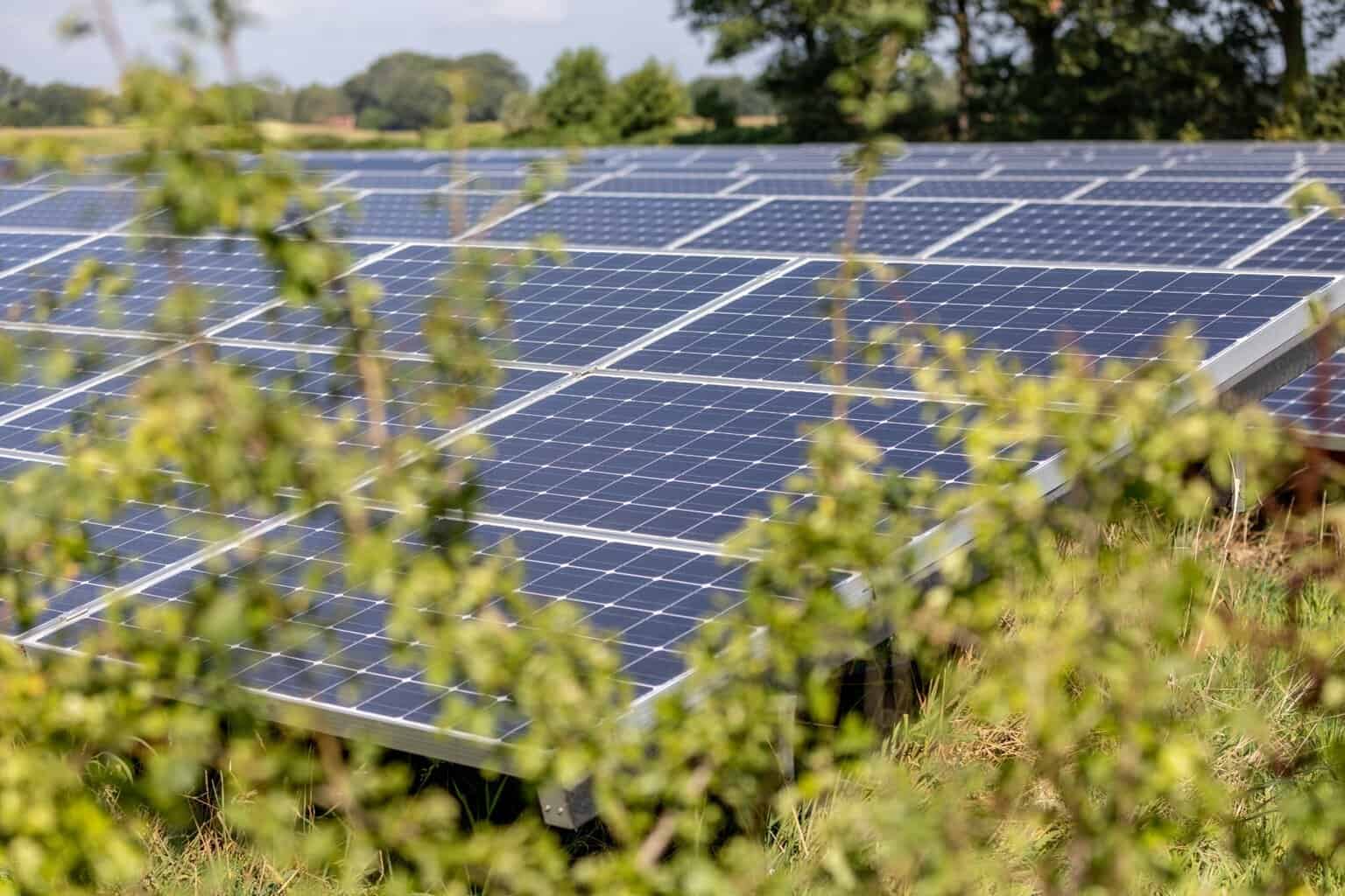 Vergunningsaanvraag zonnepark Twijggraven definitief stopgezet -