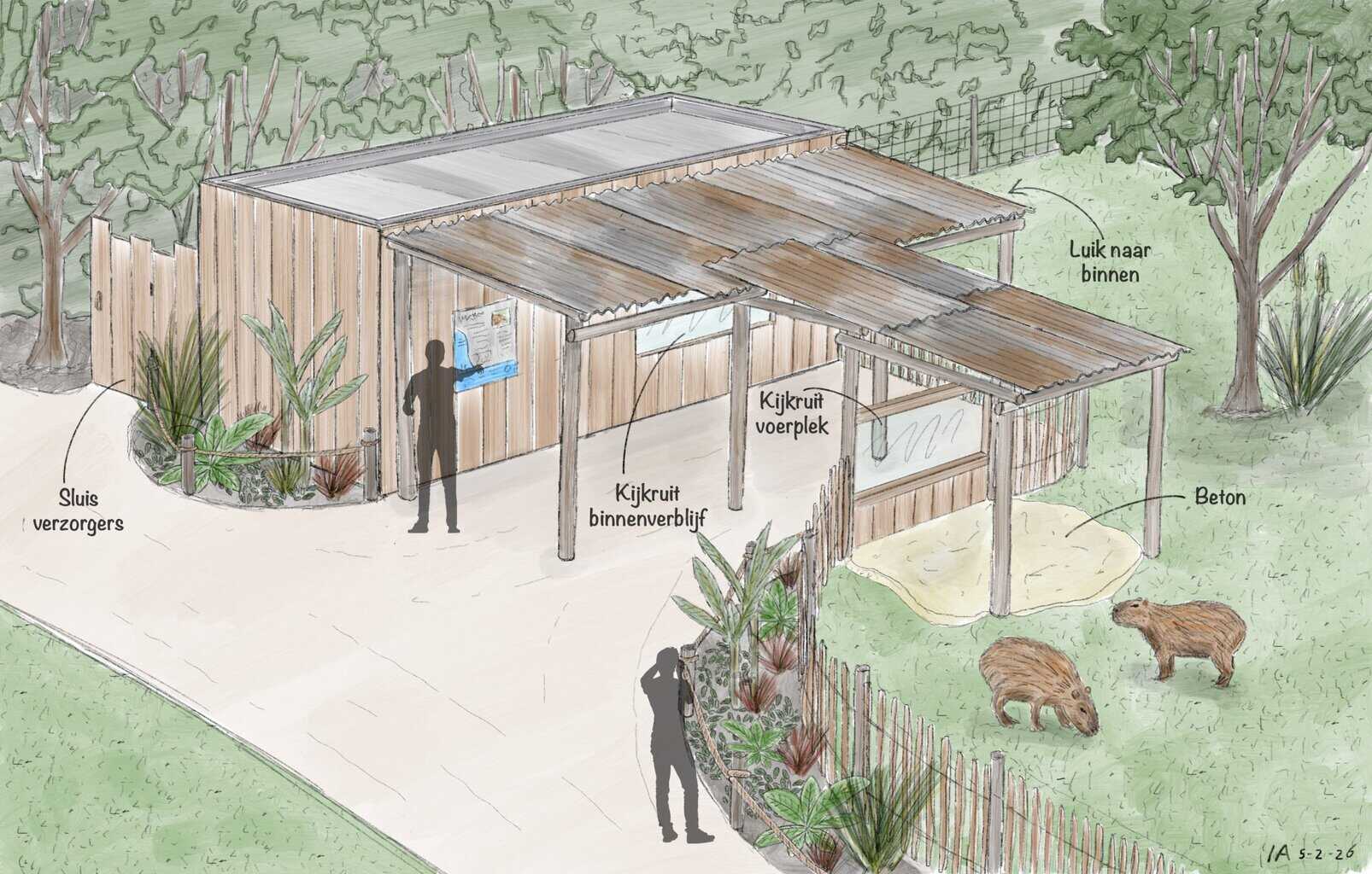 Dit voorjaar nieuwe diersoort bij Hof van Eckberge: capibara's! -