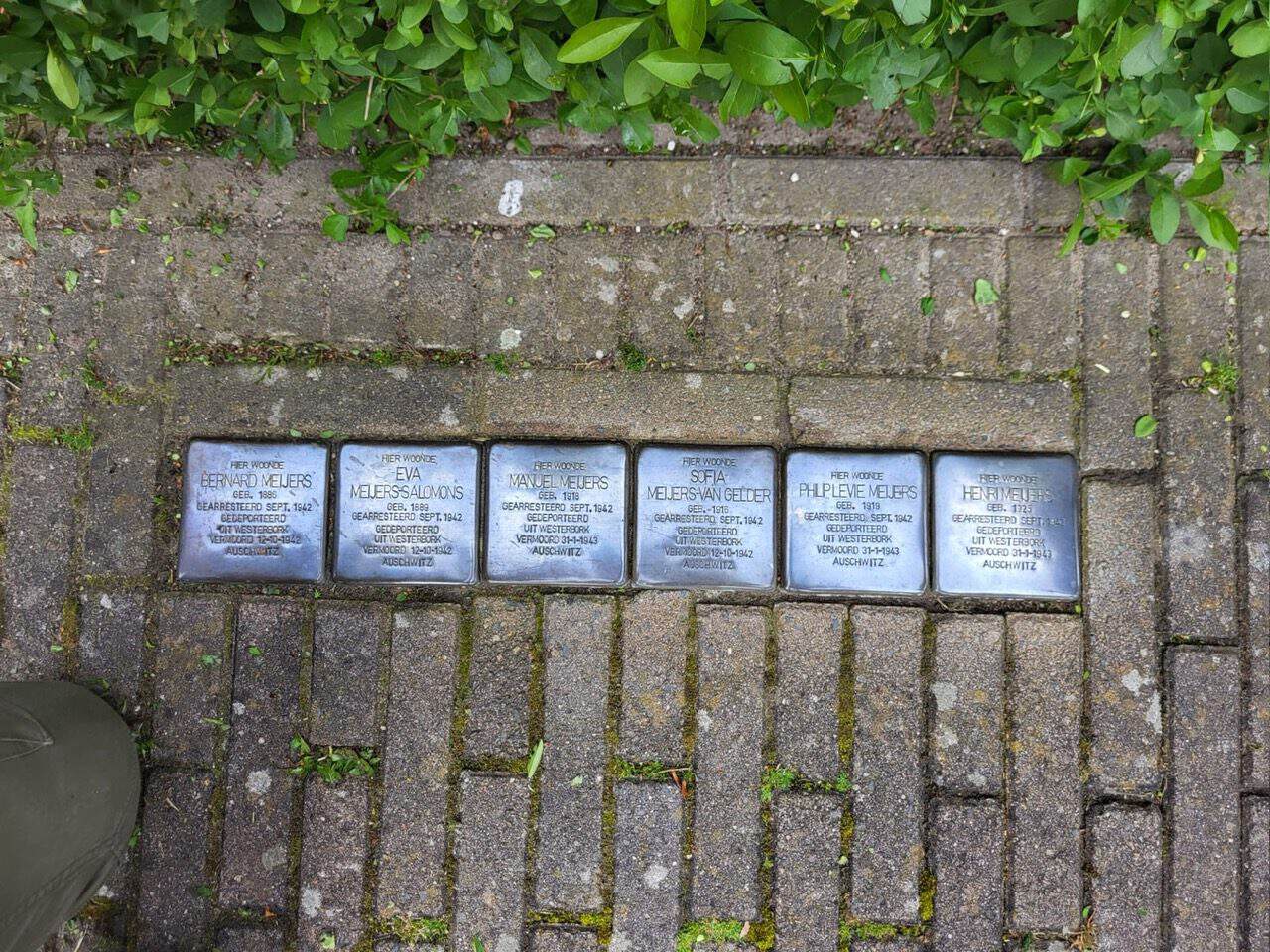 Basisschoolleerlingen in Borculo en Geesteren poetsen Stolpersteine -