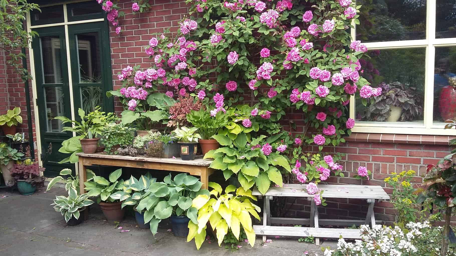 Drie Ruurlose tuinen openen hun poorten tijdens Pinksterdagen -