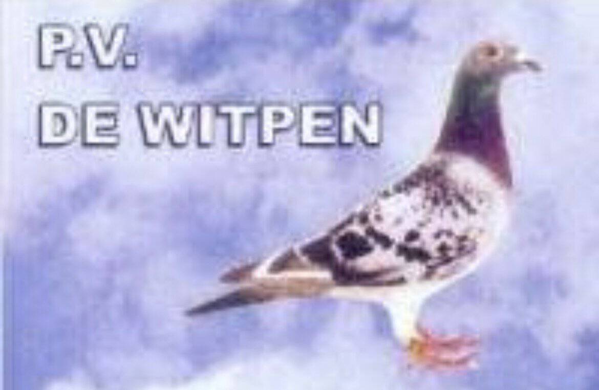Donatie namens P.V. de Witpen aan de Zonnebloem -