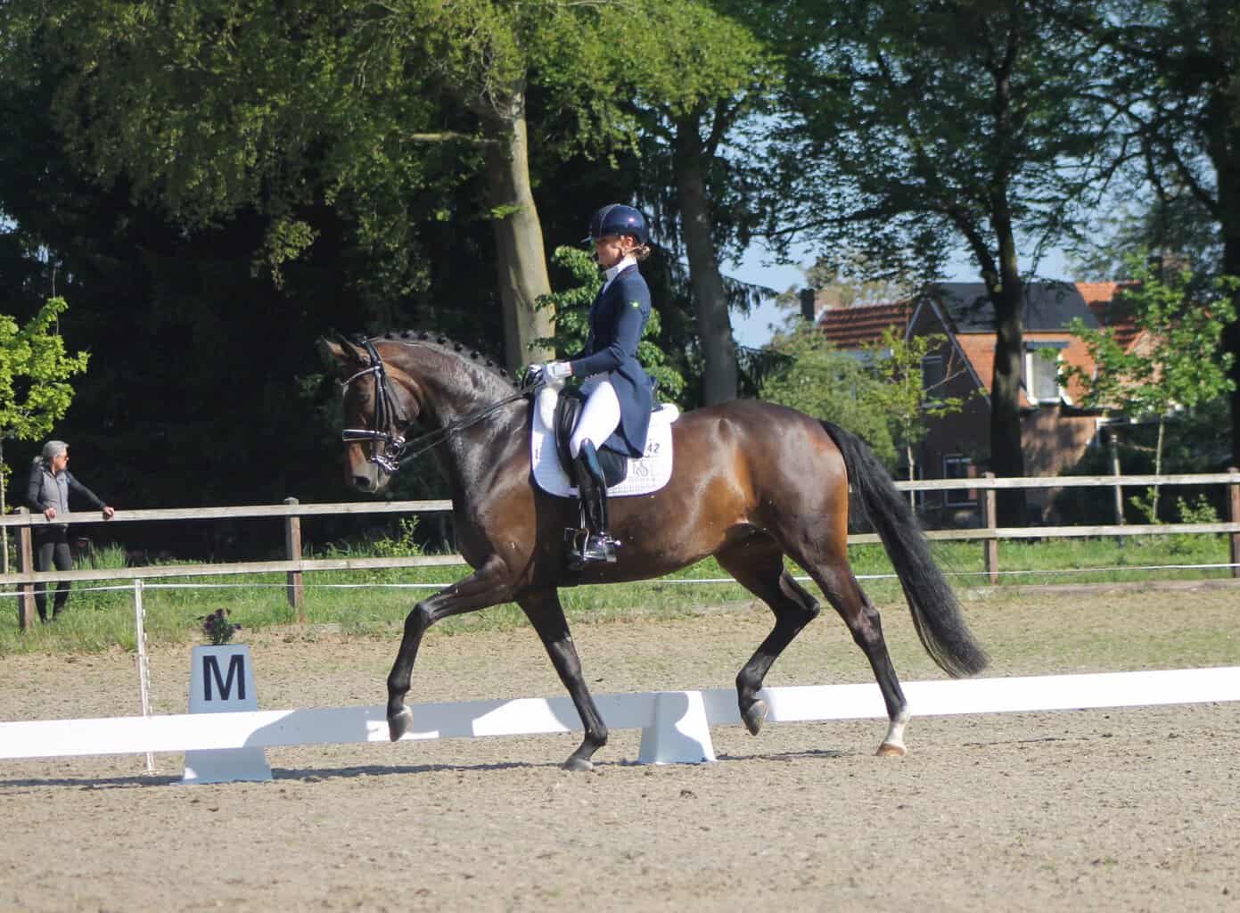 Veelzijdige paardensport bij de Hamelandse Ruiters -