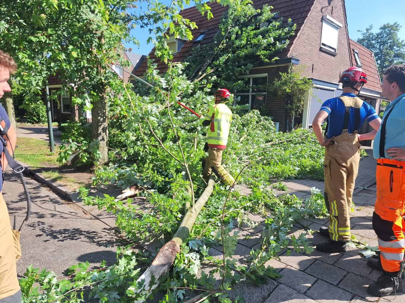 Brandweer Ruurlo verwijdert takken na stormschade aan Wilhelminalaan -