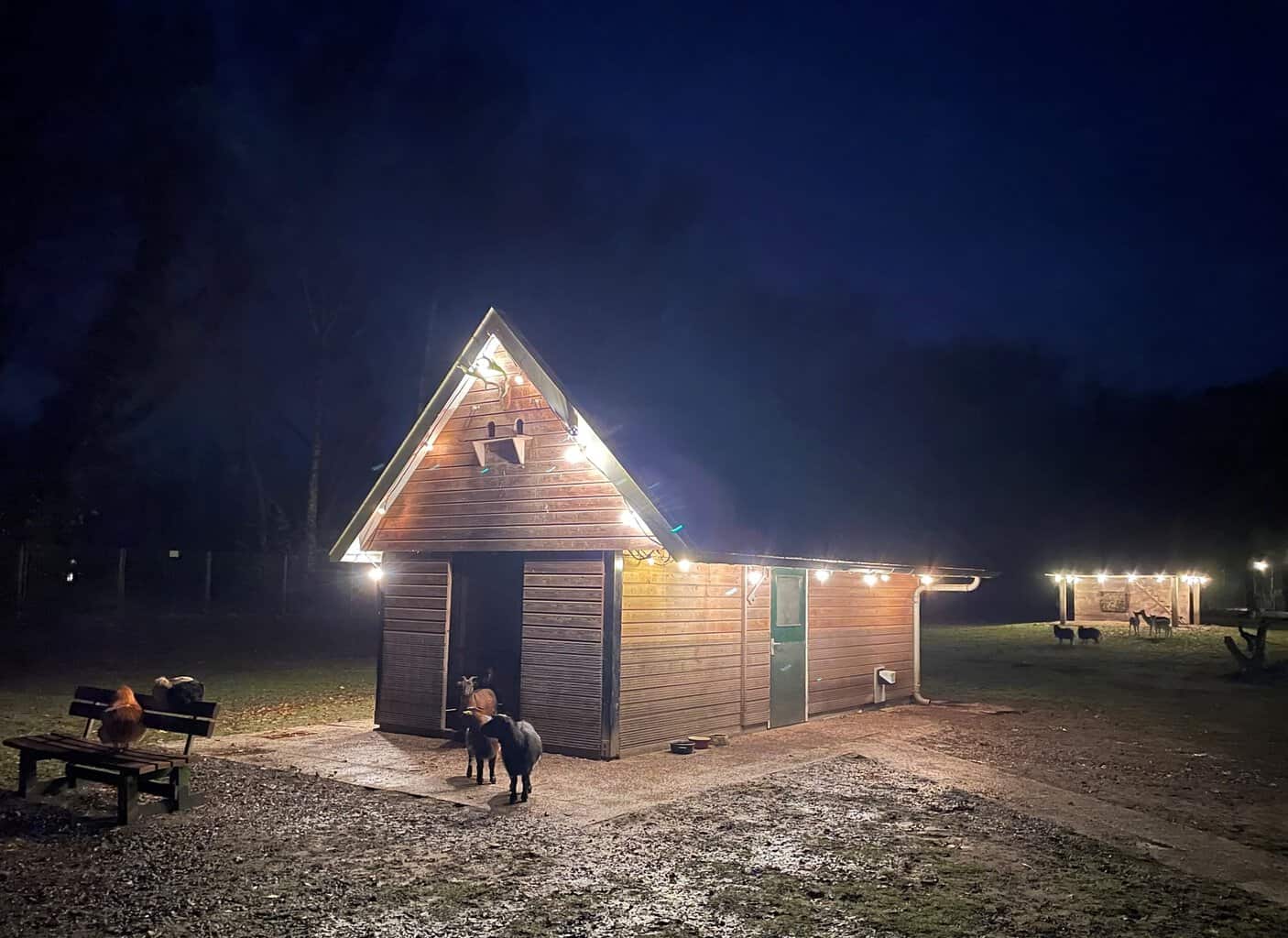 Vijververlichting zet Ter Weemepark Neede in sfeervol licht