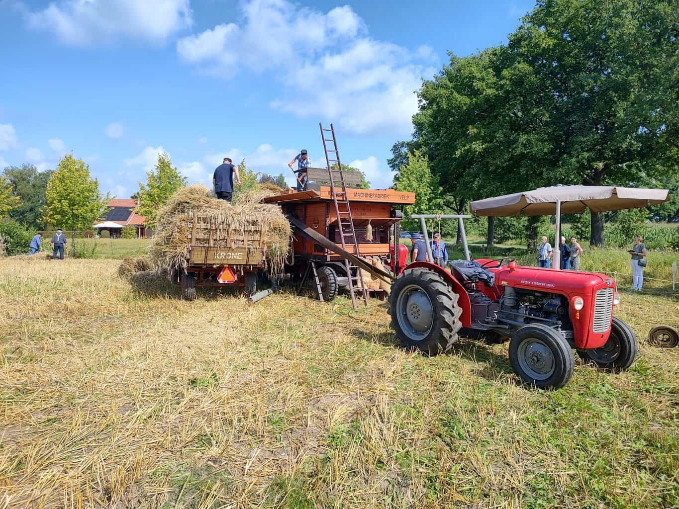 Oogstdag bij Eibergse Oldtimer Club brengt landbouwverleden tot leven -