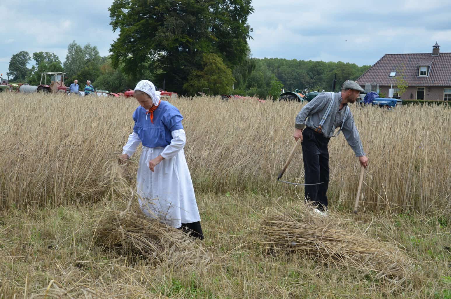Historische Vereniging Oud Noordijk organiseert Noariker Fair