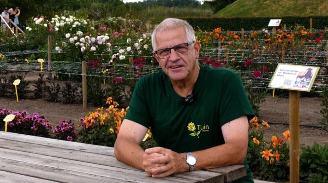 Dahliatuin Rekken weer geopend: ‘Hier is het hele dorp mee bezig’