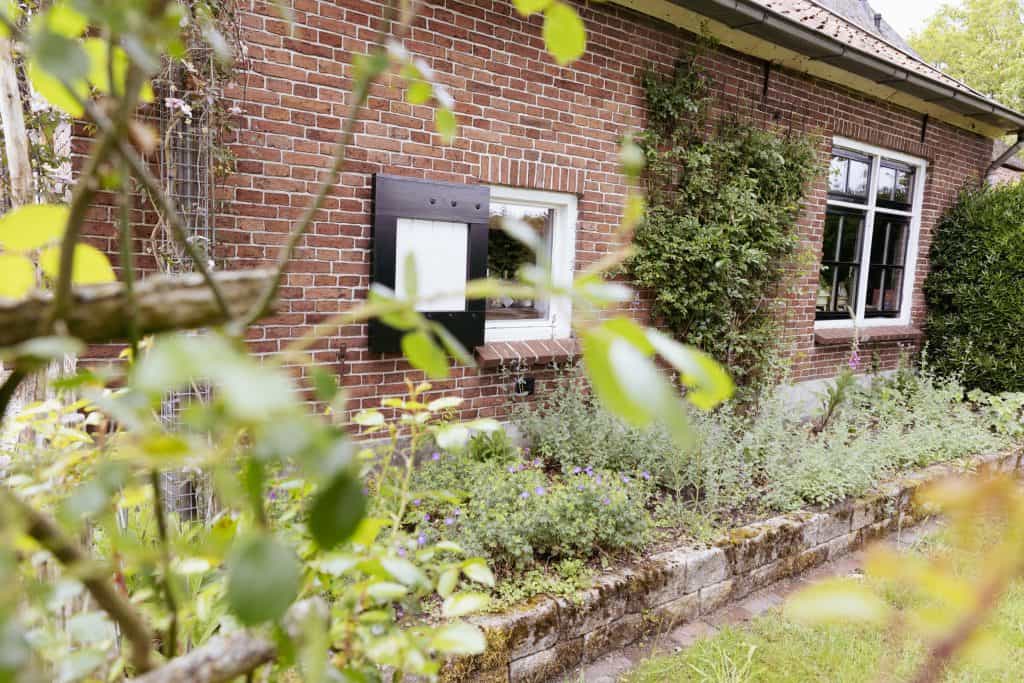 Jaarlijkse open dag en 30-jarig jubileum bij Jookies in Noordijk