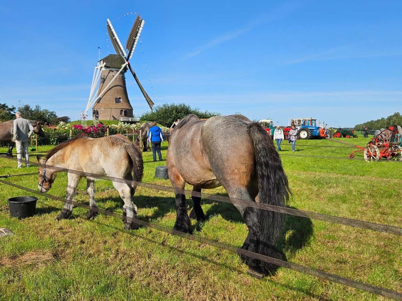 Levend Erfgoeddagen brengen zeldzame rassen en oude landbouwtechnieken naar Rekken