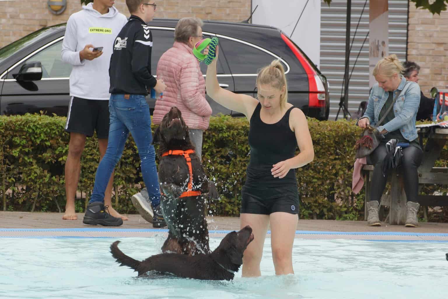 Honden mogen weer plonzen in openluchtzwembad ’t Vinkennest in Eibergen