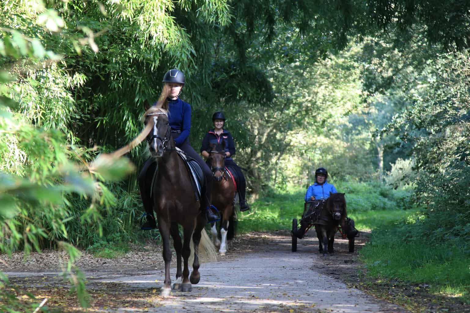 Weer te paard happen & stappen rondom Ruurlo