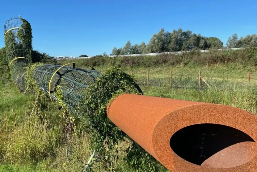 Technasiumleerlingen Assink Lyceum onderzoeken duurzame energie voor Midwinterhoornplantage