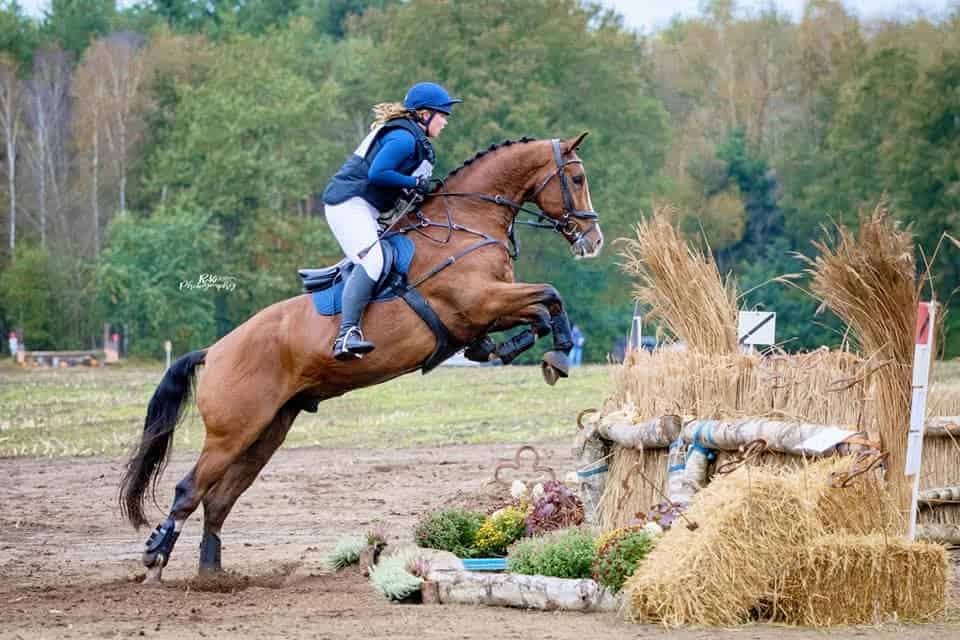 Eventing Diepenheim maakt zich op voor Overijsselse Kampioenschappen -