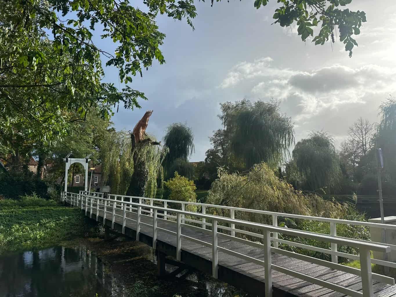 Opnieuw karakteristieke boom afgebroken aan Burgemeester Bloemersstraat in Borculo